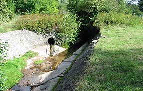 Auslauf des Darmbaches nach der Kleingartenanlage
