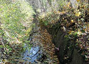Gerader Bachverlauf auf dem TSG-Gelände